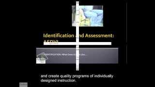 Working with Learners with Autism Spectrum Disorder and Visual Impairment (ASDVI)