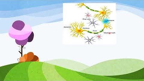 EUGSC(2.11.2021):Class:viii,Sub:Science(Lec:33),Chap:5(Part-4),Shayla Parvin.
