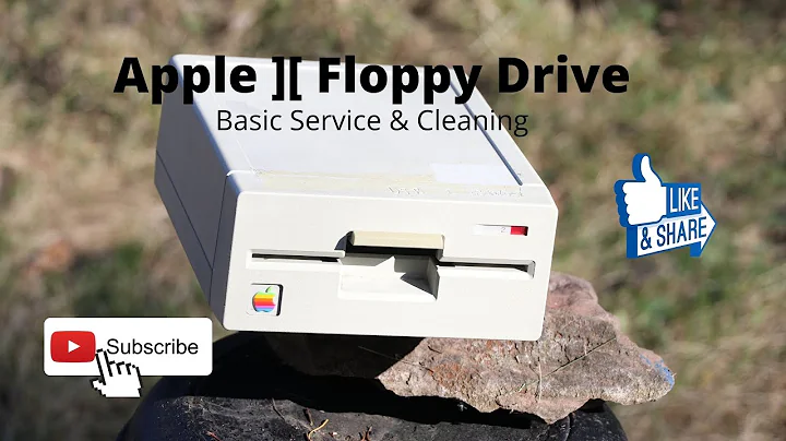 Apple ][ - 5.25 Floppy Drive - Cleaning - Service