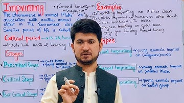 Imprinting behavior its stages, types and examples class 12| Learning behavior class 12 biology