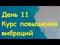 Курс Повышения вибраций.  День 11.  Я есть здесь