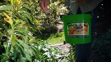 The Garden Gurus - Feeding Your Plants