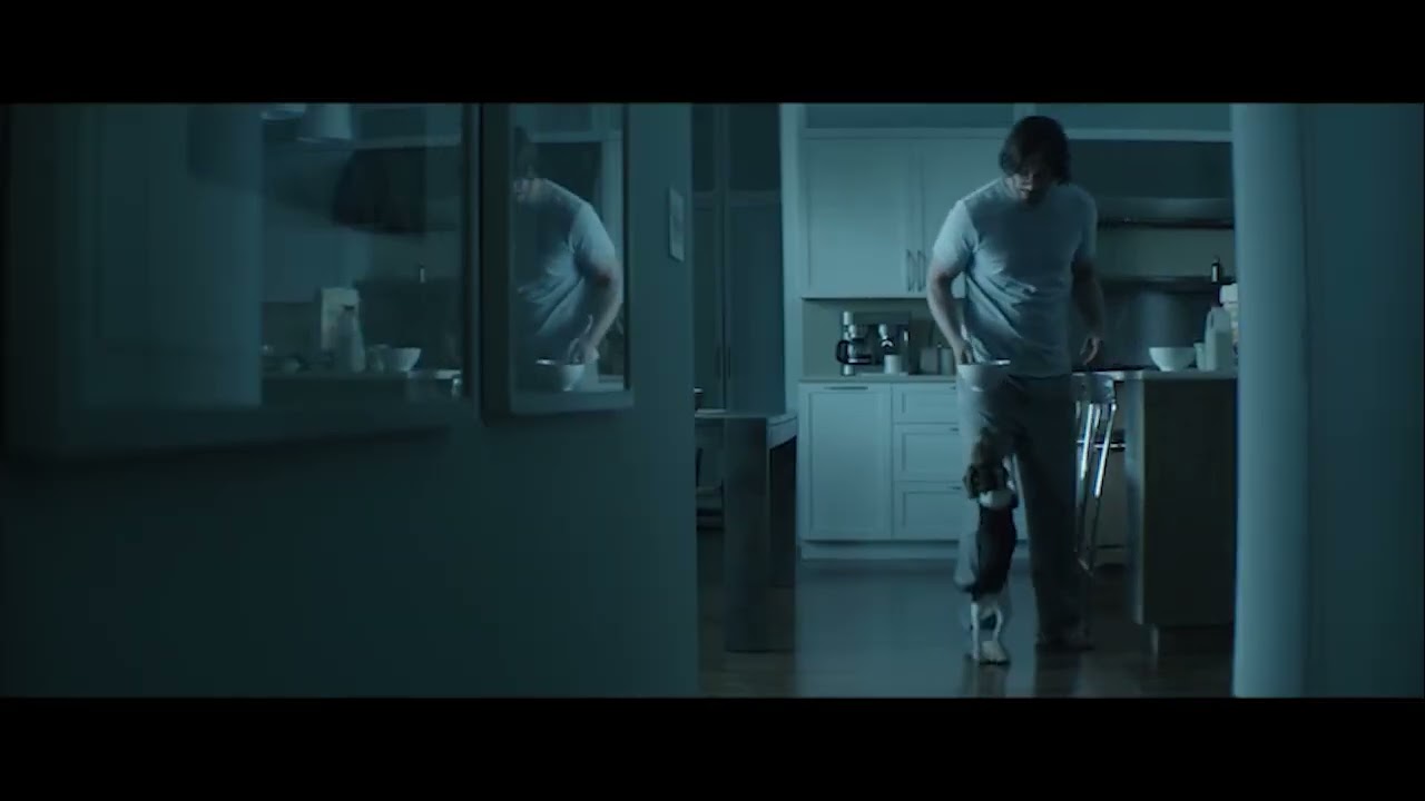 video essay1