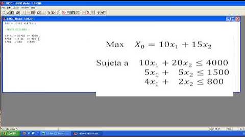Como utilizar lingo 10