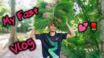MY FIRST VLOG |#trending #myfirstvlog #vlog #my_first_vlog_on_youtube #my #mysecondvlog #myfirstblog