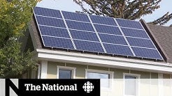 Halted solar energy incentives frustrate Sask. homeowners