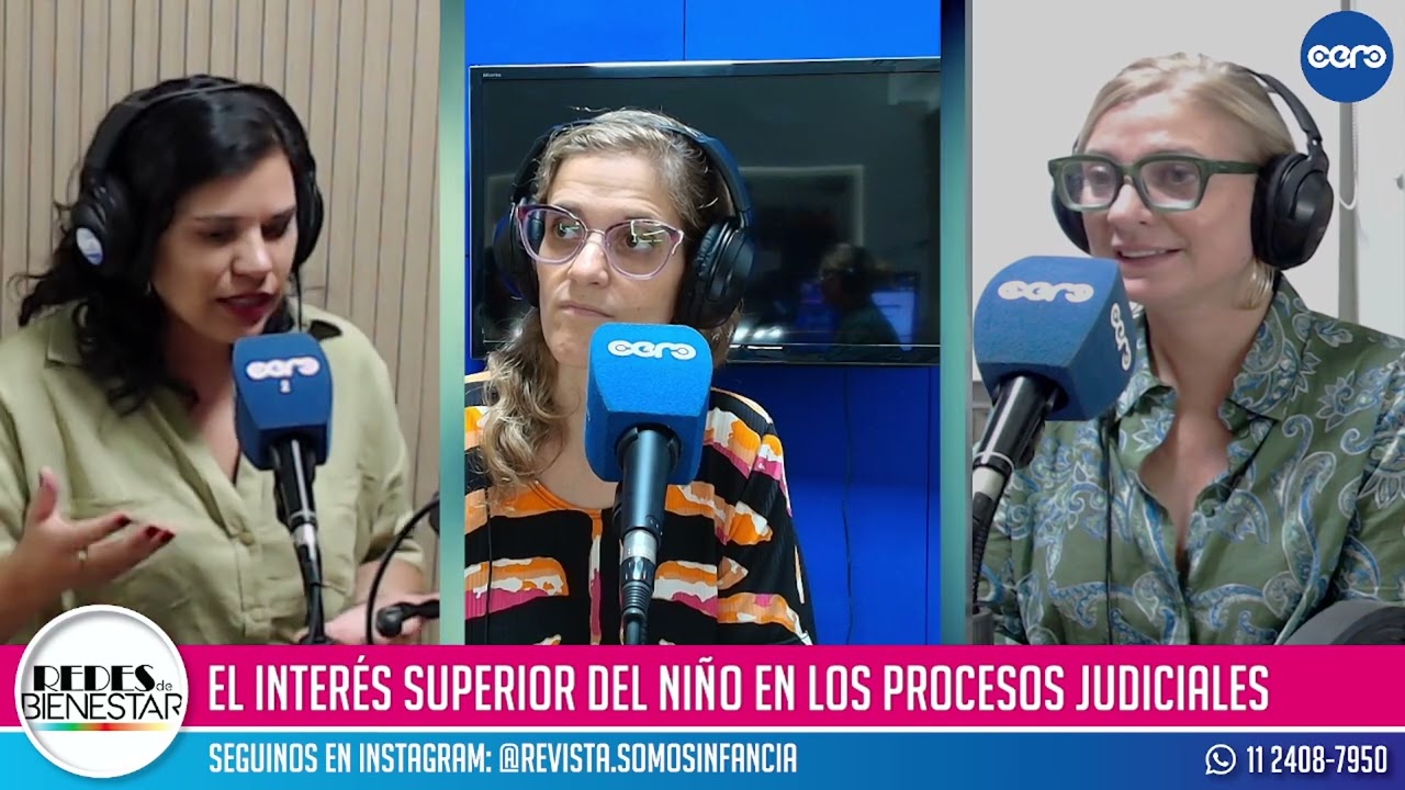 El interés superior del niño en los procesos judiciales