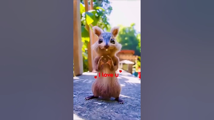 Gaurav Ka Friend Kesa Laga Aapko #shorts #gauravaroravlogs #youtubeshorts