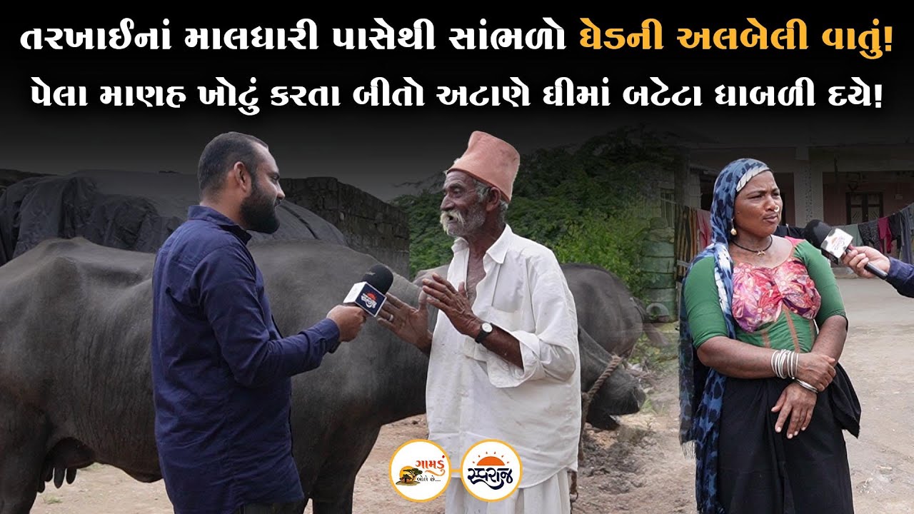Gamdu Bole Chhe | કોઈ'દી નિશાળ નથી જોય તો પણ ભગવાનનો ડર હતો! ઘેડનાં પશુપાલકની માણસાઈ એટલે કેવી પડે!