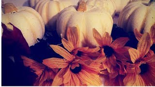 DOLLAR TREE DIY OFF WHITE FALL/FARM HOUSE PUMPKINS