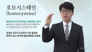 [넷향기] 이동환 교수의 "호모시스테인(homocysteine)"