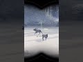 My wife shot a diamond 🫎💎in the heart - thehunter: call of the wild #cotw #hunting #expansiveworlds