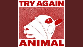 Try Again