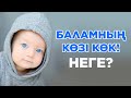 Көк көзділер жайлы қызық фактілер