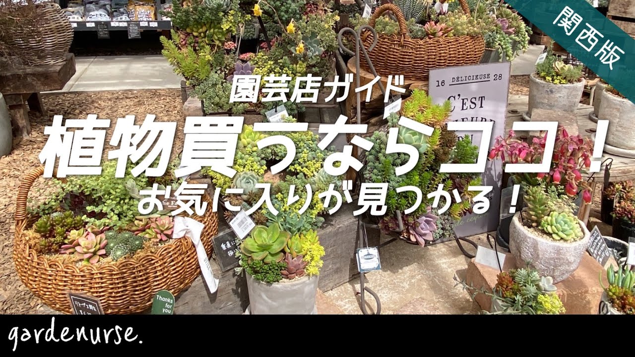 Garden Shop Tour] [Must-Visit] Shopping at Kansai's Recommended