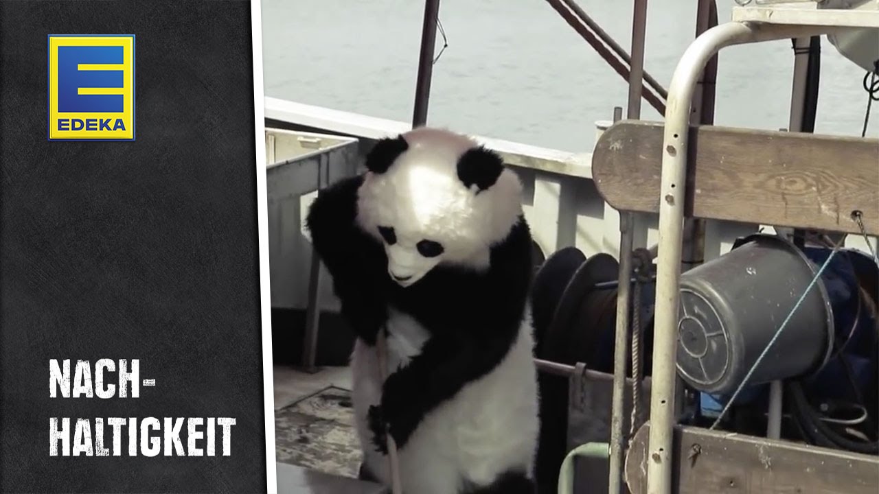 Da Freut Sich Der Panda Umwelt Und Bestandsschonenende Ostsee Fischerei Youtube
