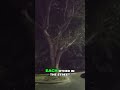 Fight or Horseplay  Man Arrested for Running from Cops!