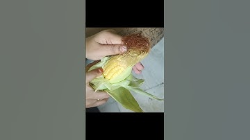 Blinkit Order #food #shortsviral #chicken  #cooking #blinkit #corn #subscribe #short #viralvideo