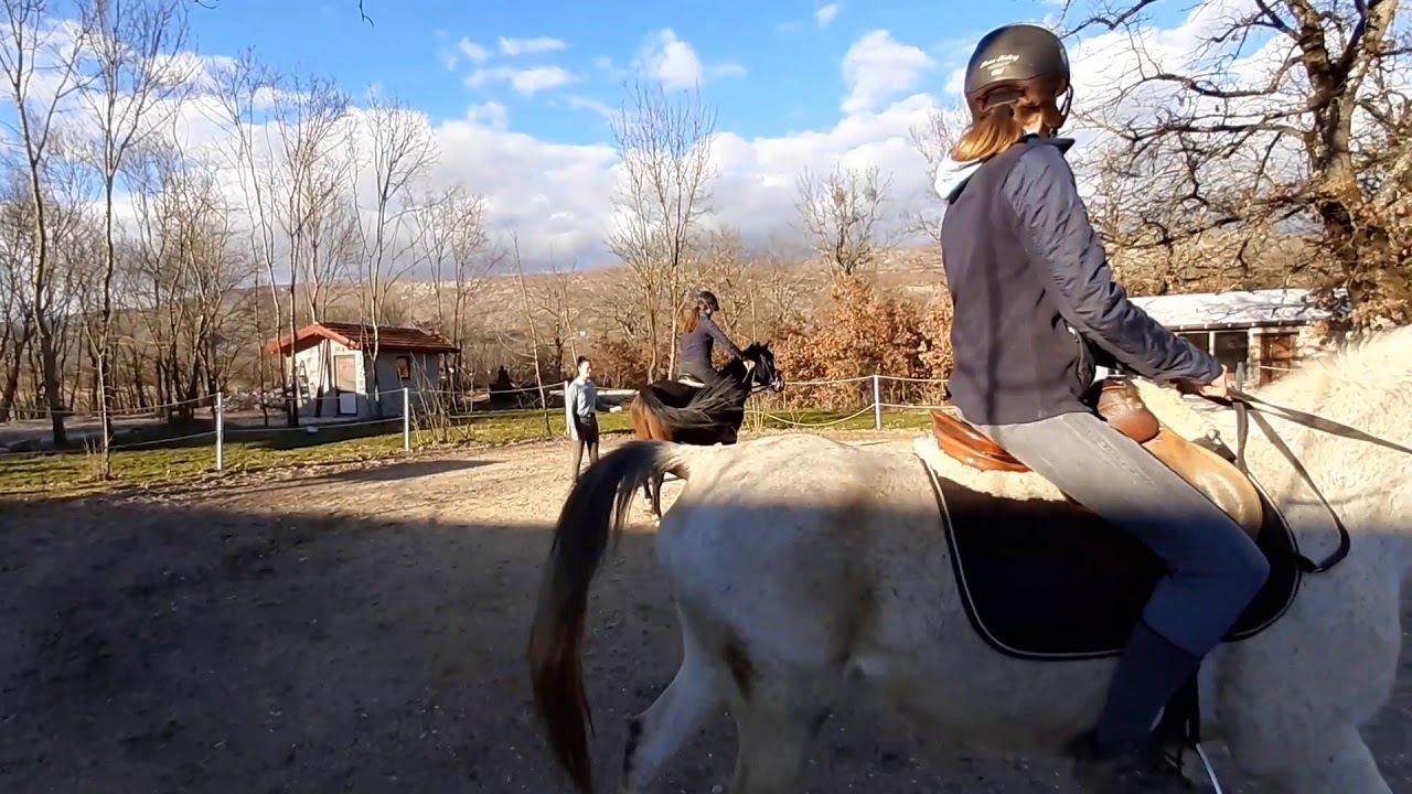 Grude: Konjički klub Stina sa svojim konjima postaje turistička atrakcija