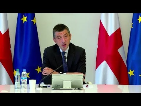 დისციპლინით და არა ეკონომიკის გაჩერებით ხელი უნდა შევუშალოთ ვირუსის გავრცელებას  - გახარია