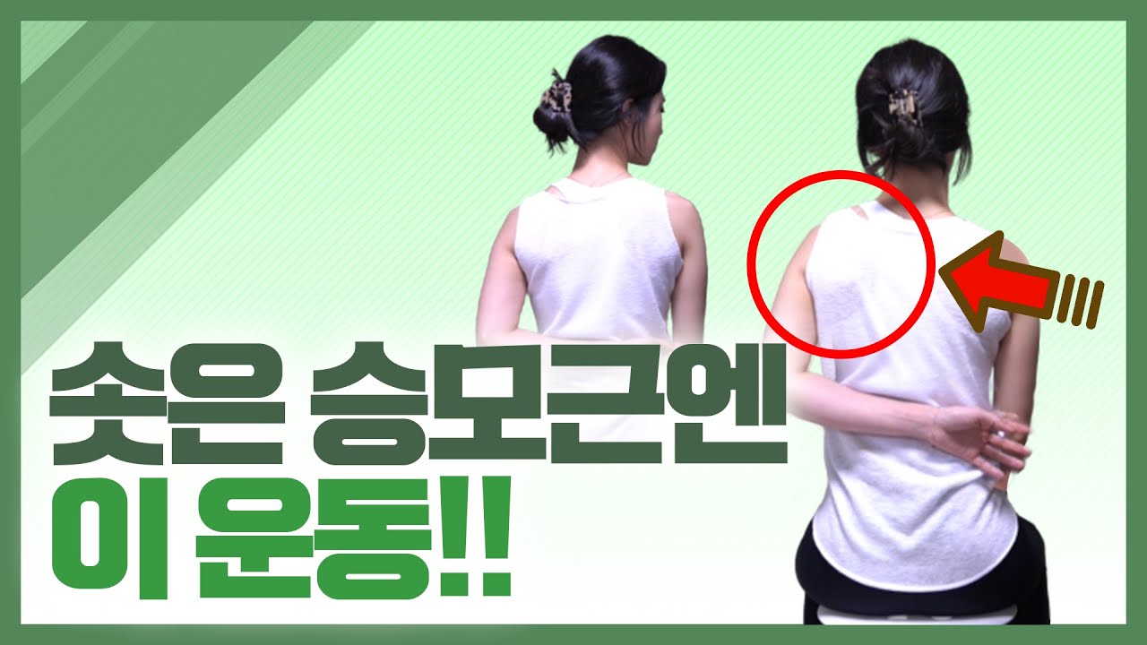 승모근을 내리고 싶다면... (feat. 올라간 승모, 옷걸이 체형)