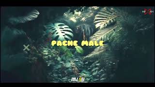 Dj Nesh X | Pache Male X Malle Kuruvi Remix | Green Rasta Crew