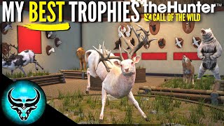 My FAVORITE Trophies of All Time in theHunter Call of the Wild | Trophy Lodge Tour 2021