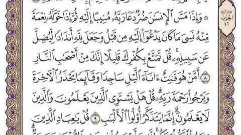 تلاوة سورة الزمر من ٩-١٢