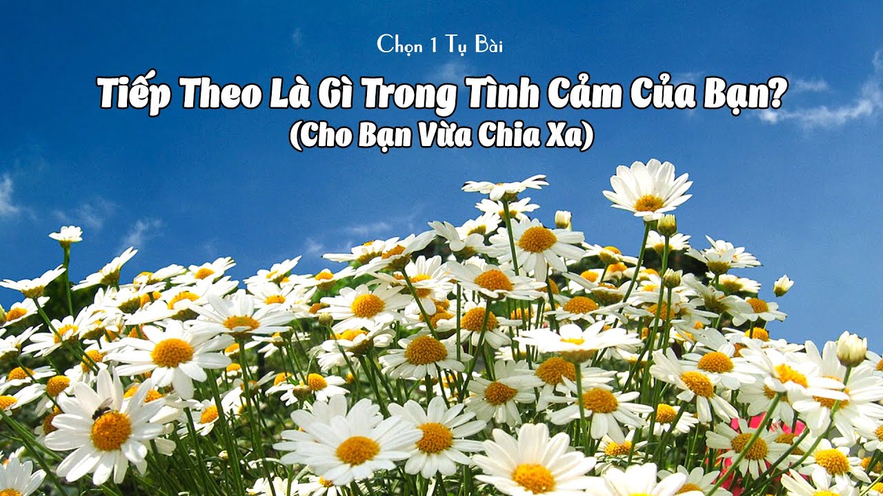 Cho Bạn Vừa Chia Xa - Tiếp Theo Là Gì Trong Tình Cảm Của Bạn?