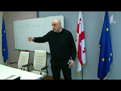 ნიკა მელიას საქმე - კომიტეტის სხდომა პარლამენტში