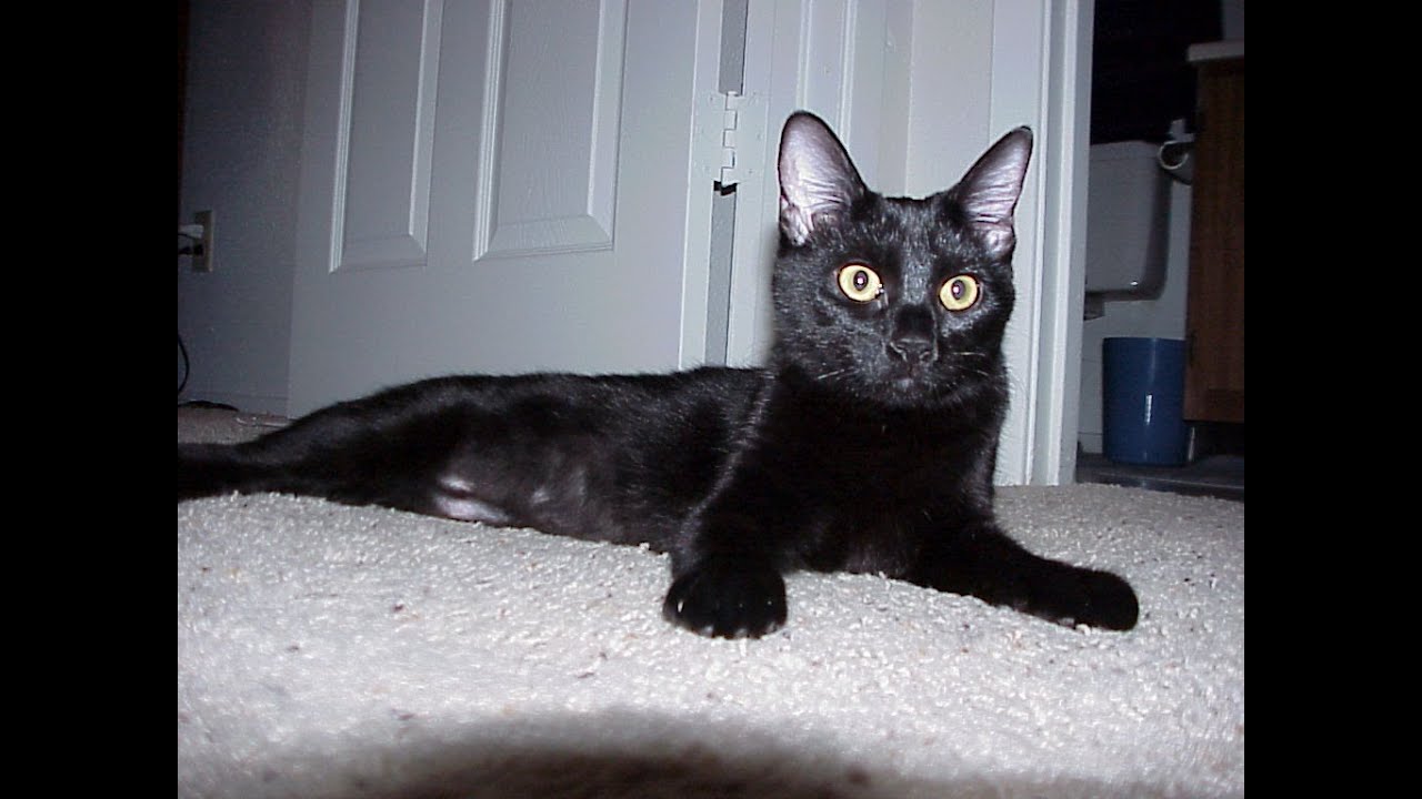 chakra battlegrounds sasuke ultimate theme (NO SFX)