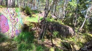 Headcam Orienteering || Oringen 2026, E2 lång H60