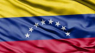 🇻🇪 [10 HOURS - 4K] Venezuela Flag Waving - Realistic Background Video For TV 🇻🇪