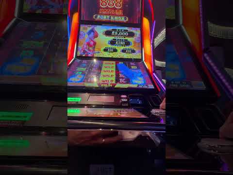 Samurai 888 katsumi bonus feature game #casino #slotscasinogames #casinogames #slot #casinobonus