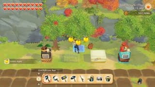 STORY OF SEASONS: Pioneers of Olive Town - Plucking gold apples from trees!!
