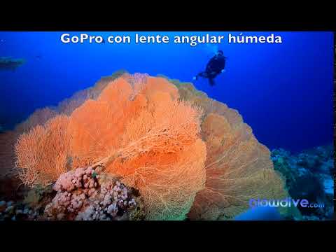 GoPro 9 con y sin lente angular