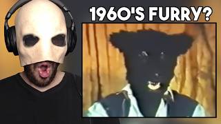 1960's Furry? - Funny Awesome Low Budget Special FX Reaction