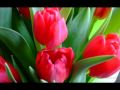 It's you.wmv