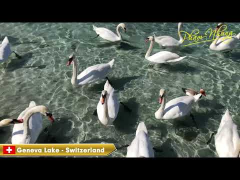Video: Thiên Nhiên Thụy Sĩ: Hồ Geneva