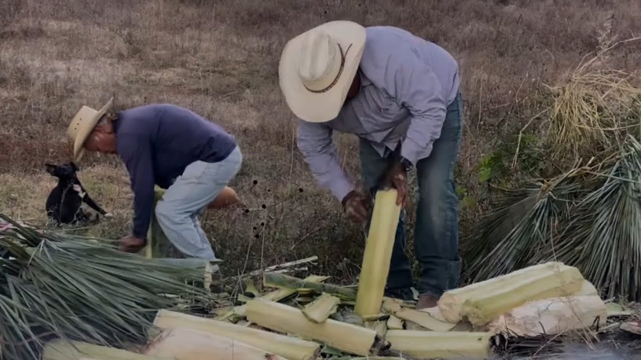 Segunda parte del  Quiote de los 6000 pesos