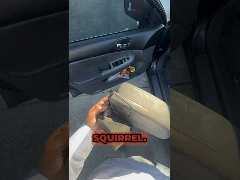 Fastest #Honda side mirror  replacement! #hack #diy #florida #mechanic #cars #diycrafts #explore