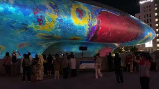 DDP Light Festival 2024