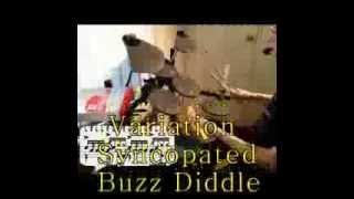 Syncopated Diddle Variation