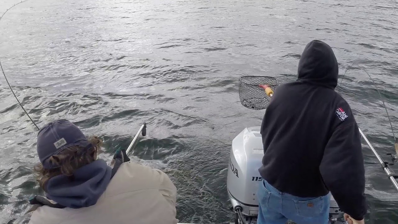 Camanche Fast Troll for Trout - Don's Fighter of the Day - YouTube