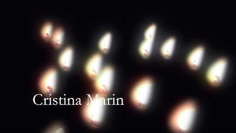 [Motion Graphic] Project 3 Title Sequence