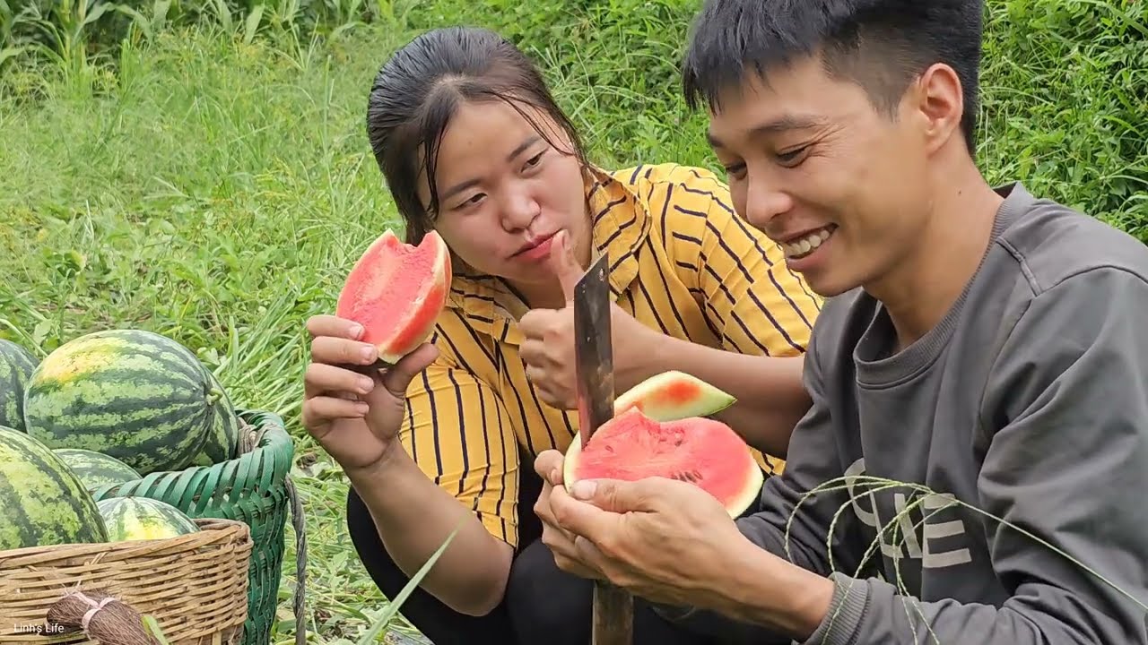 Watermelon and Pineapple are harvested for sale. Linh's Life