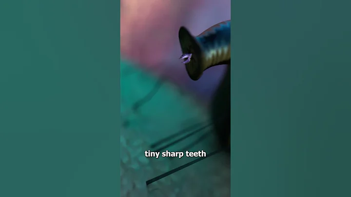 How Leeches Suck Your Blood 😟