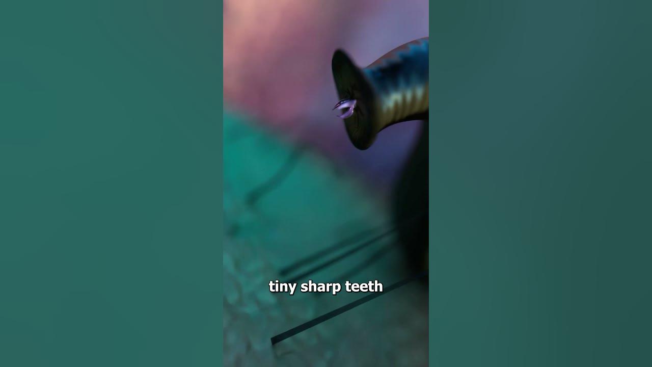 How Leeches Suck Your Blood 😟