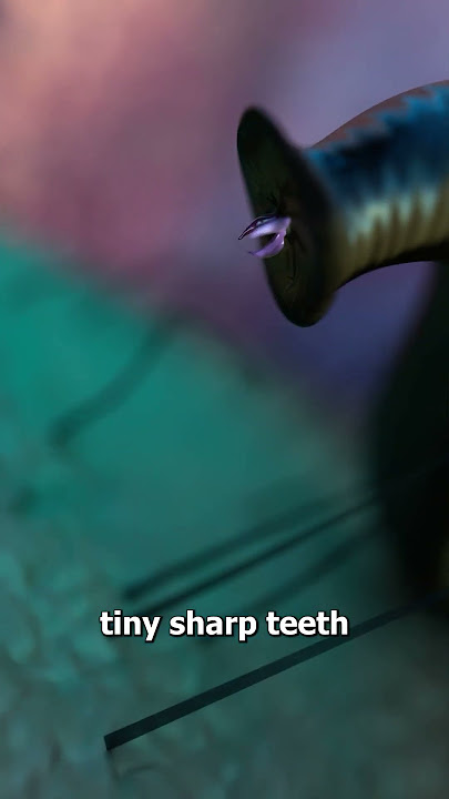 How Leeches Suck Your Blood 😟