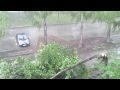 От ветра упало дерево! ливень (Харьков)